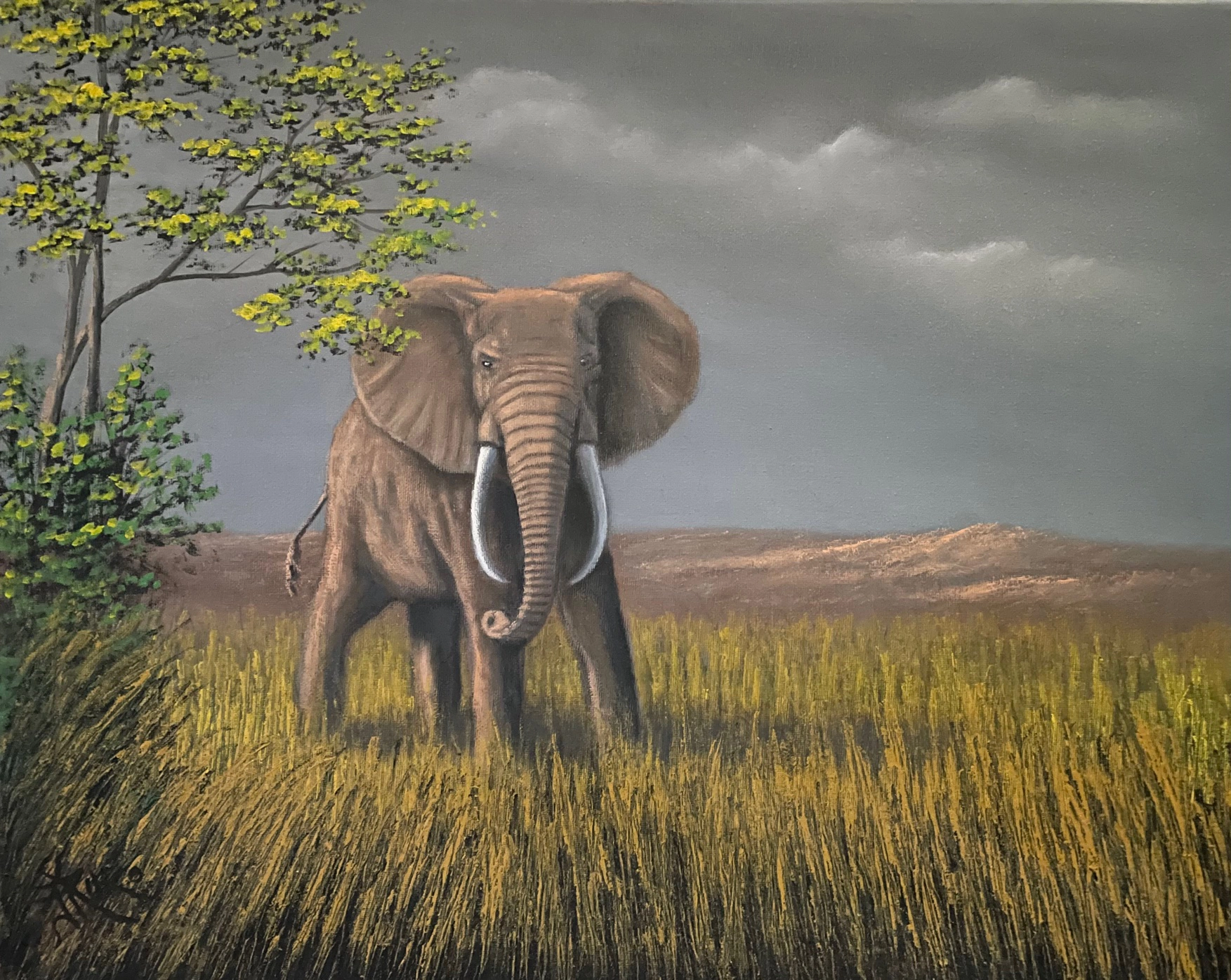 Unable to display image.